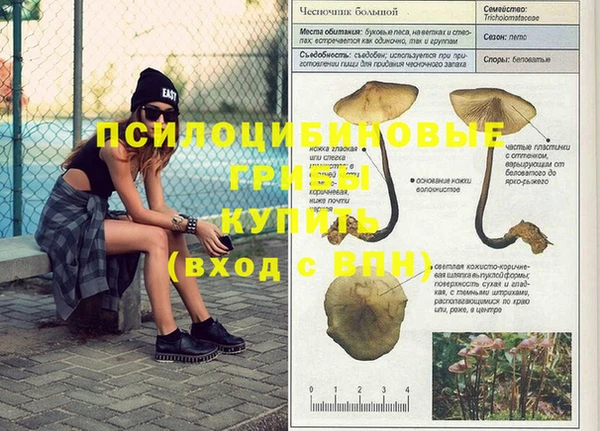 MESCALINE Алзамай