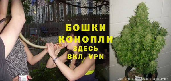 амф Арсеньев
