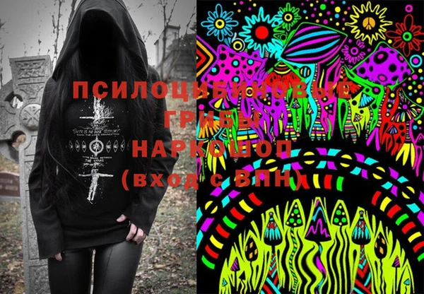 амф Арсеньев