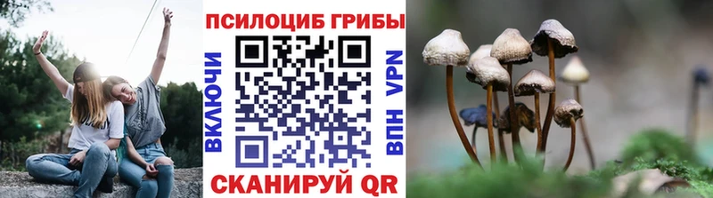 Псилоцибиновые грибы Psilocybe  Пушкино 